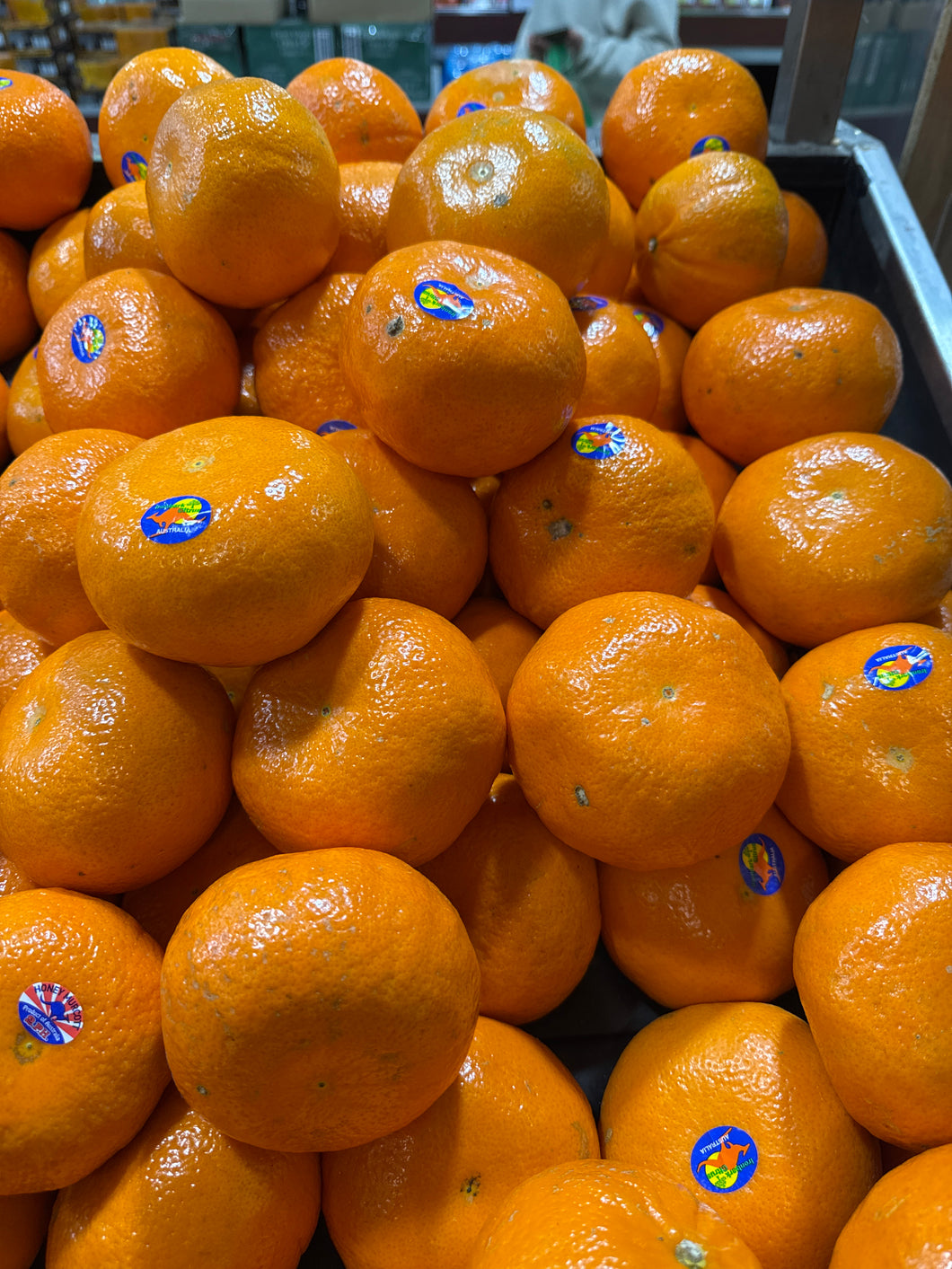 Mandarin  HONEY MURCOTT large each