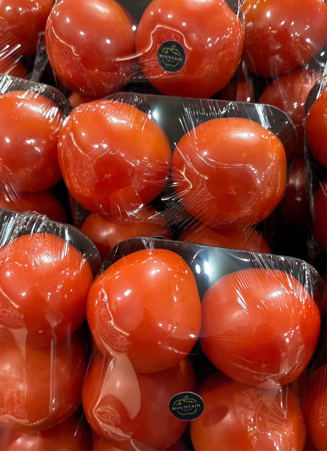 Tomatoes Tray - Prepack of 6