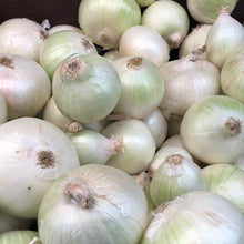 Load image into Gallery viewer, White onion
