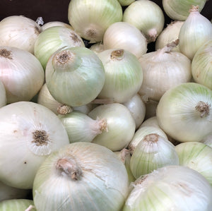 White onion