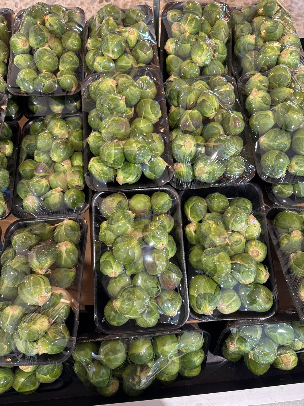 Brussel sprouts 500gm Tray