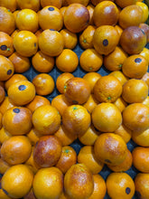 Load image into Gallery viewer, Blood oranges  each
