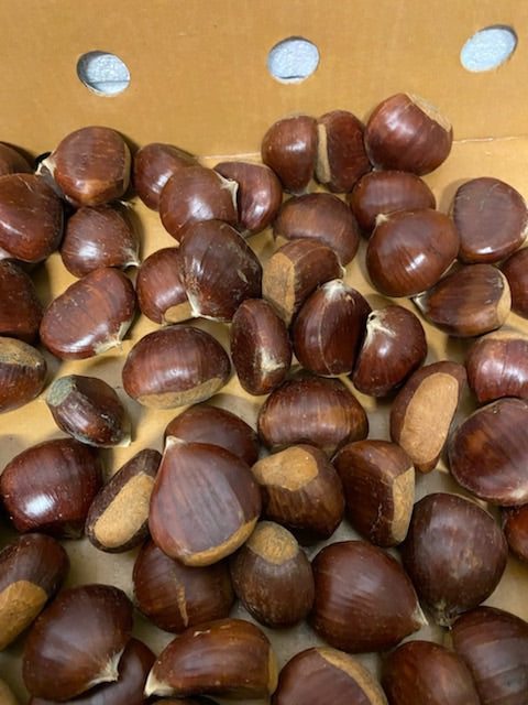 Chestnuts 500g bag