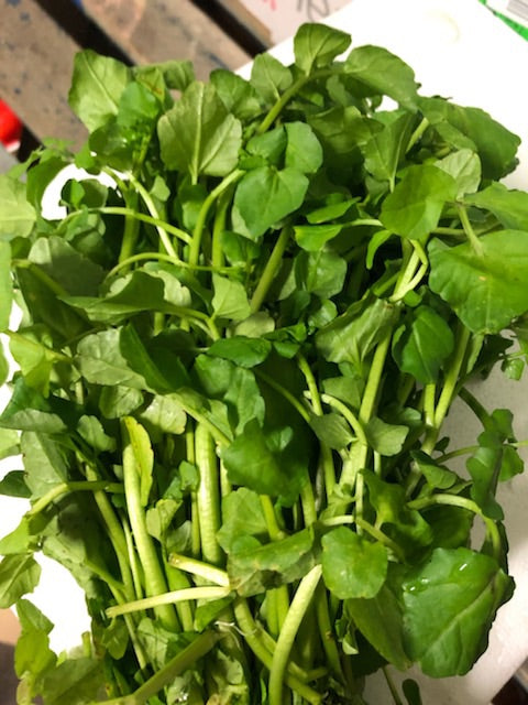 Watercress Bunch