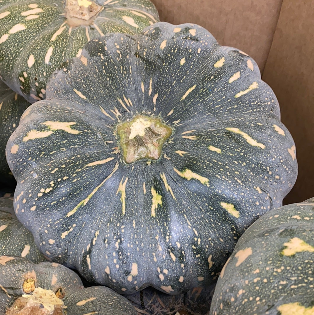 Whole Jap Pumpkin