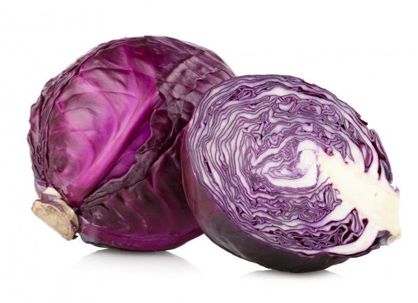 cabbage Red half