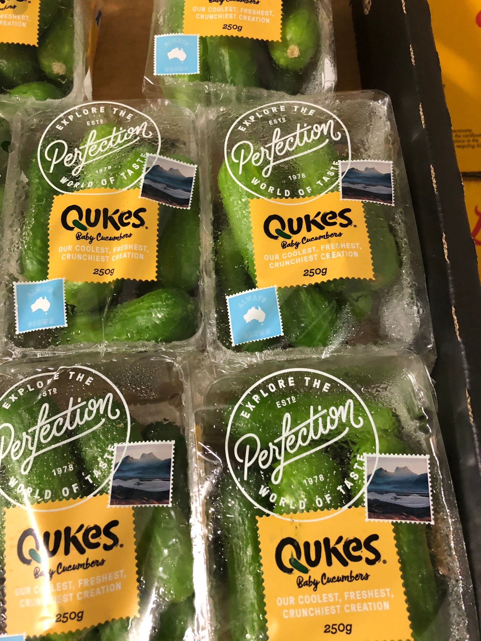 Cucumber Qukes pack – Mountain Fresh Fruits and Vegetables