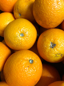 Juicing Oranges bucket