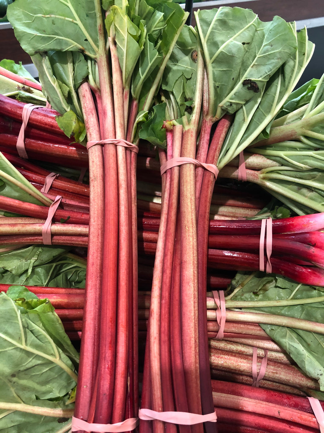 Rhubarb Bunch