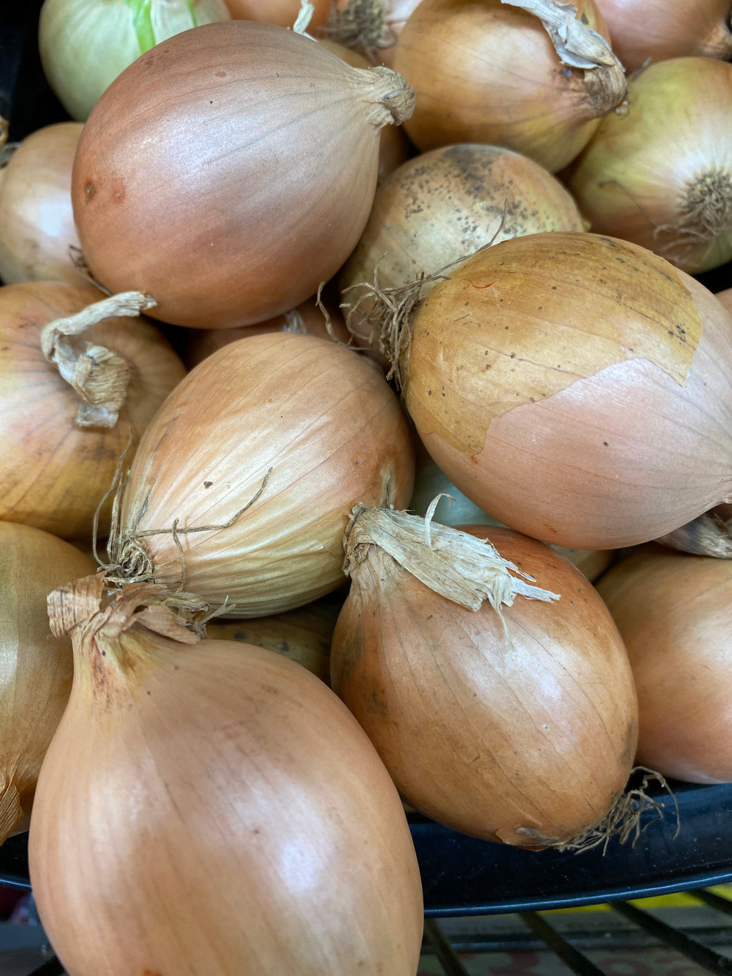 Onions Pickling