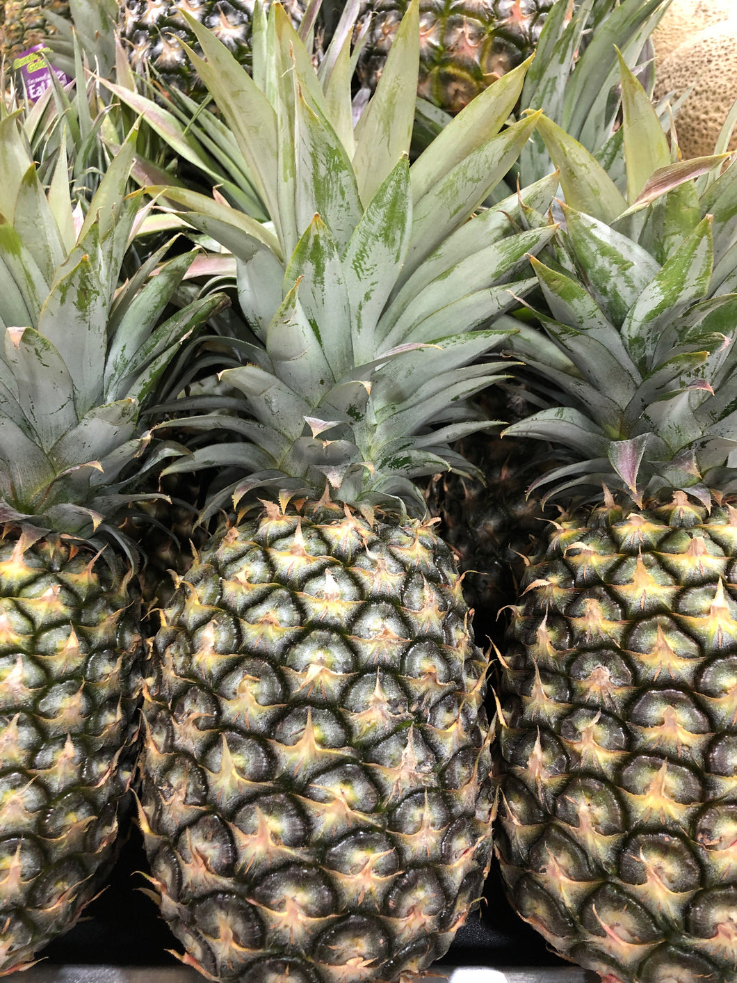 Pineapple