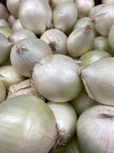 Load image into Gallery viewer, White onion
