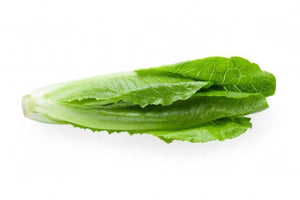 Lettuce Cos