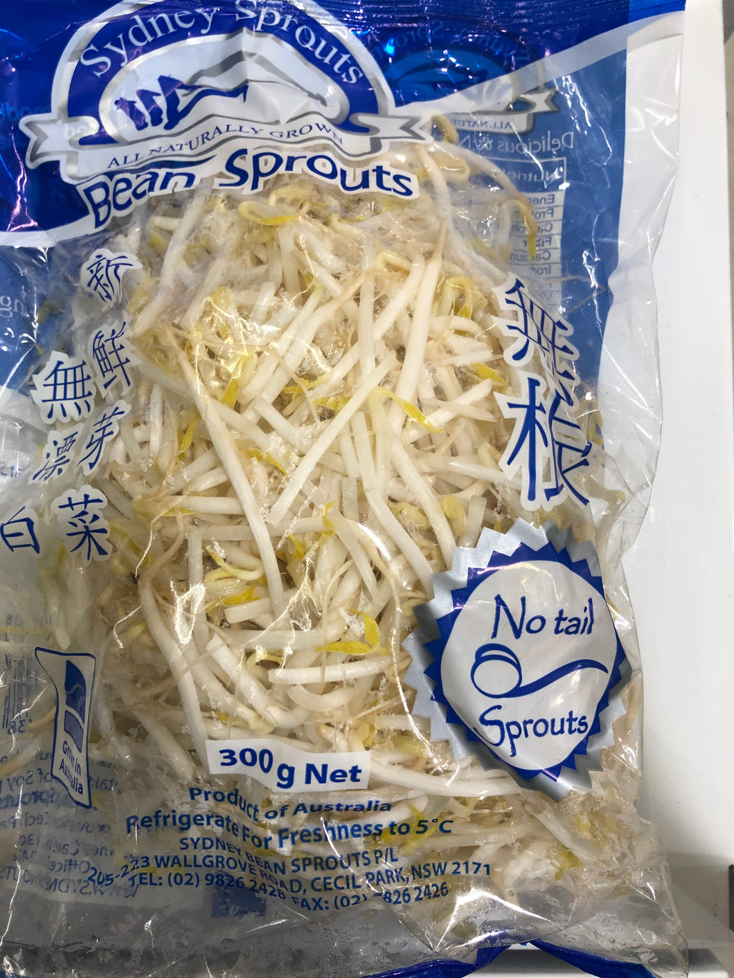 Bean Sprouts