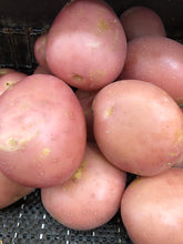 Load image into Gallery viewer, Potato Desiree each
