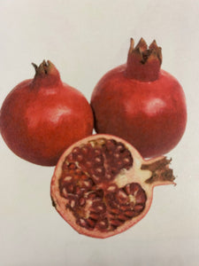 Pomegranate each