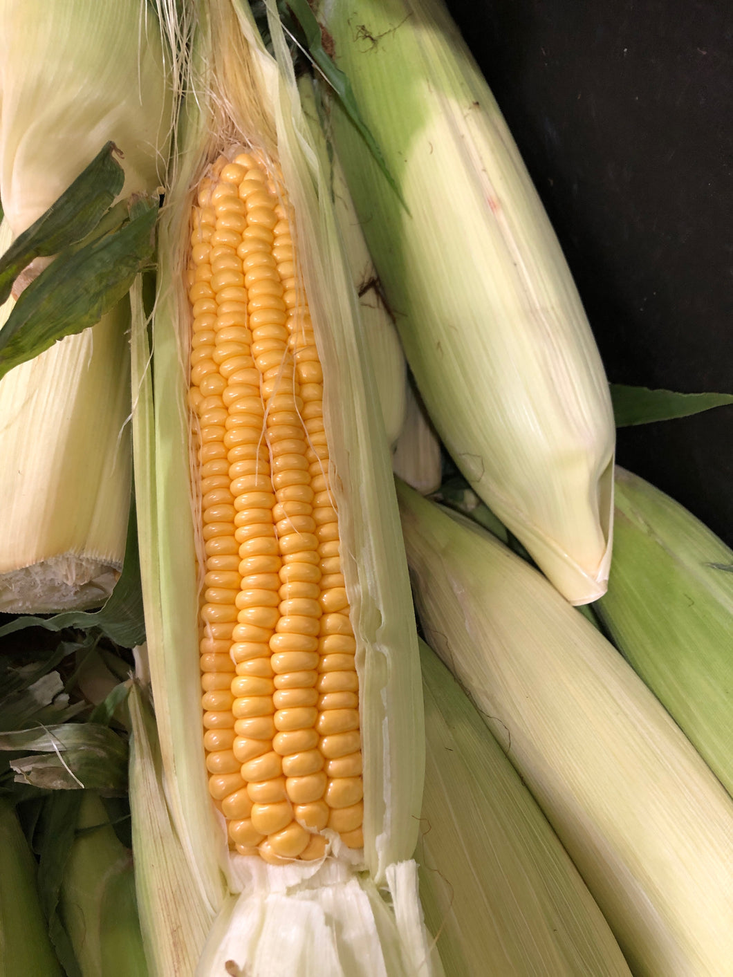 Corn  each
