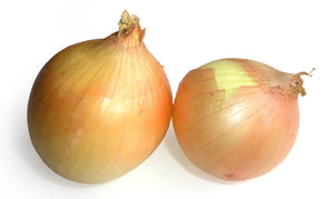 Onion brown Bag 1kg